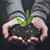 Smart Soil scaled